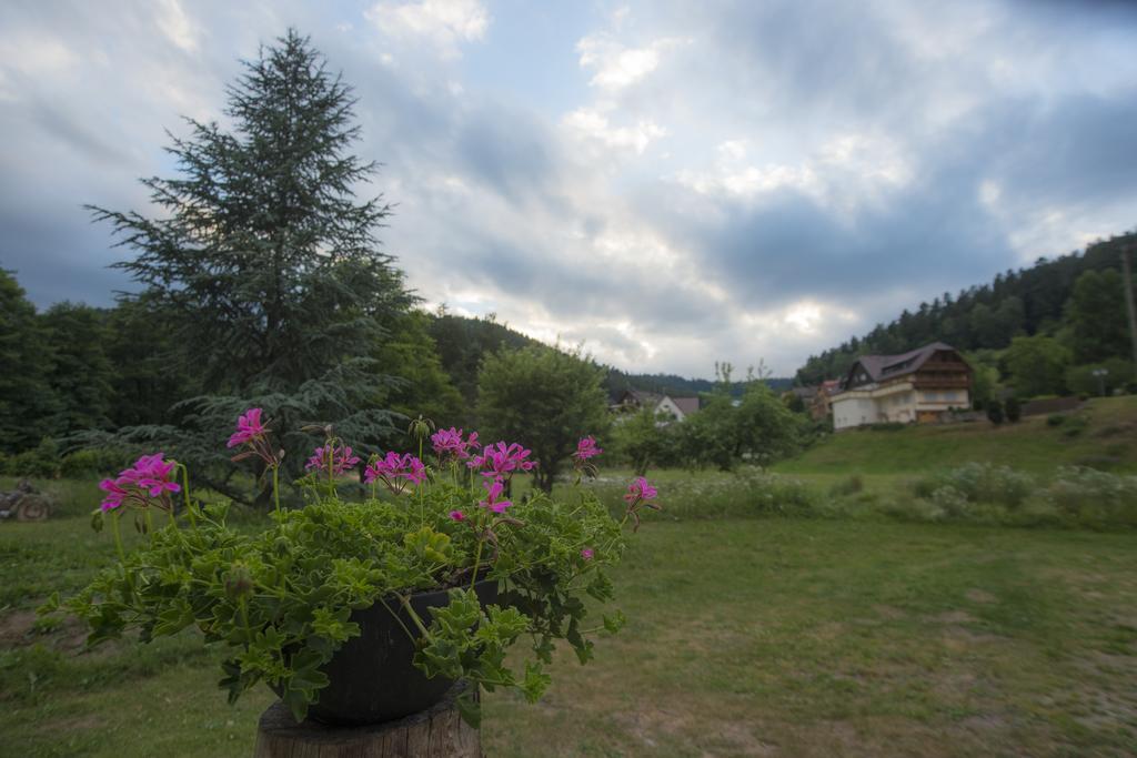 Enz Residenz Hotel Enzklosterle Luaran gambar